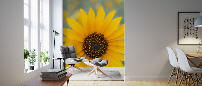 PHOTOWALL / Sunflower (e324537)