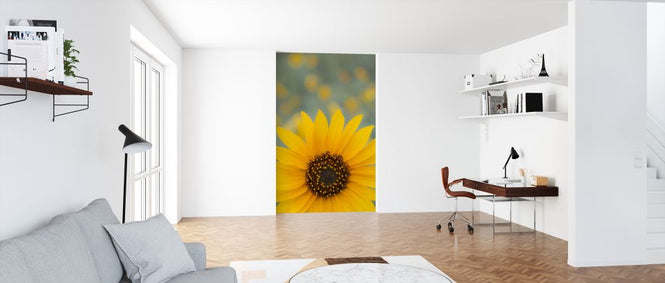 PHOTOWALL / Sunflower (e324537)