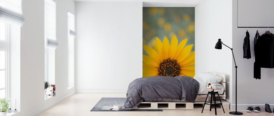 PHOTOWALL / Sunflower (e324537)