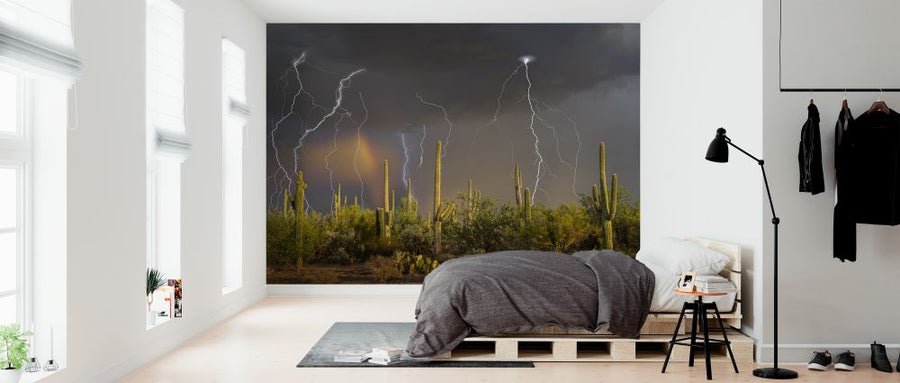 PHOTOWALL / Lightning Storm with Rainbow (e324548)