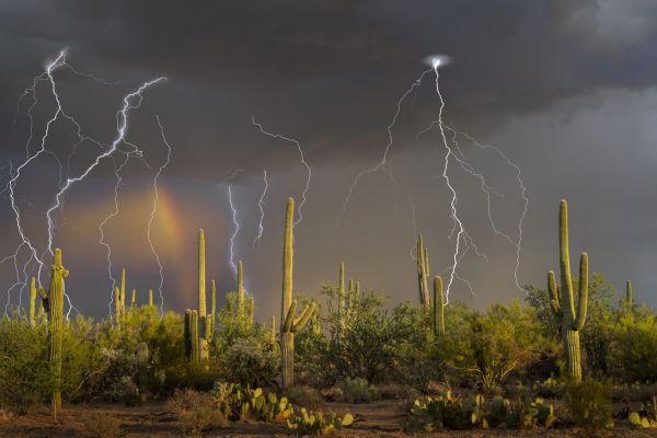 PHOTOWALL / Lightning Storm with Rainbow (e324548)