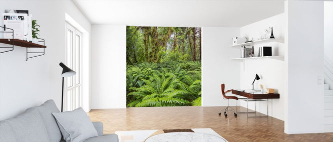 PHOTOWALL / Western Sword Fern in Rainforest (e324560)