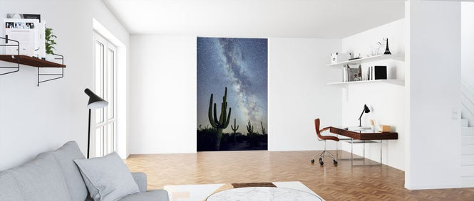 PHOTOWALL / Saguaro Cacti at Night (e324562)