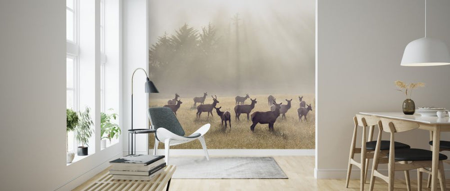 PHOTOWALL / Elk in a Meadow (e324565)