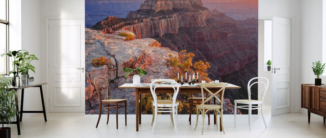 PHOTOWALL / Wild Buckwheat (e324566)