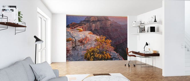 PHOTOWALL / Wild Buckwheat (e324566)