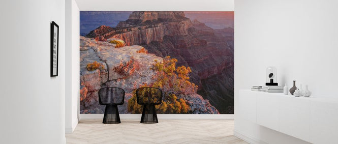 PHOTOWALL / Wild Buckwheat (e324566)