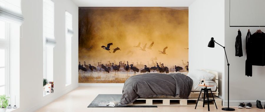 PHOTOWALL / Sandhill Cranes and Snow Geese (e324576)