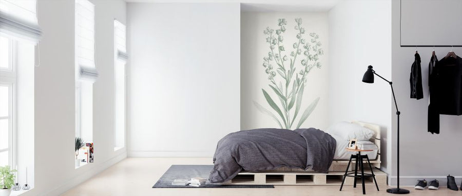 PHOTOWALL / Botanical Study in Sage (e324606)