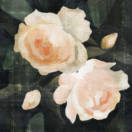 PHOTOWALL / Soft Garden Roses (e324611)