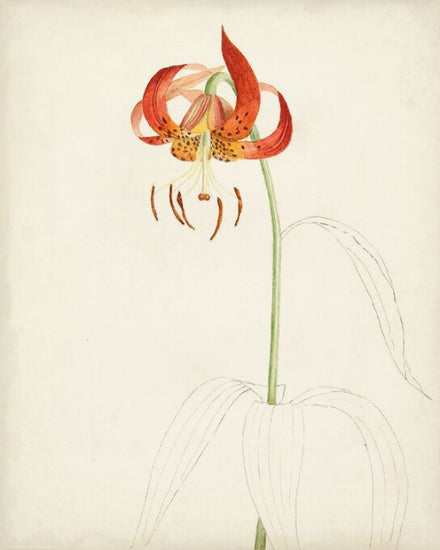 PHOTOWALL / Watercolor Botanical Sketc (e324639)