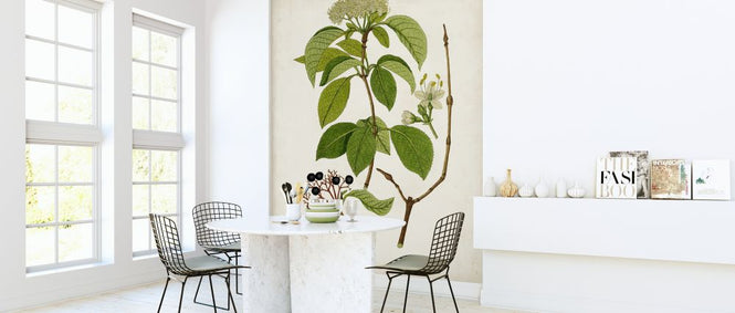 PHOTOWALL / Antique Greenery IV (e324644)