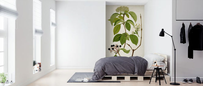 PHOTOWALL / Antique Greenery IV (e324644)