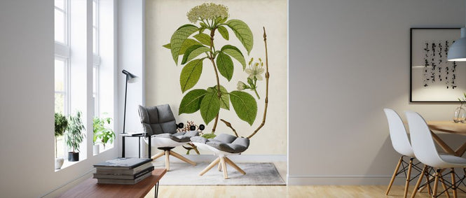 PHOTOWALL / Antique Greenery IV (e324644)