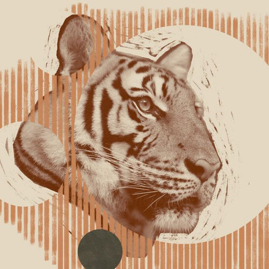 PHOTOWALL / Pop Art Tiger (e324666)