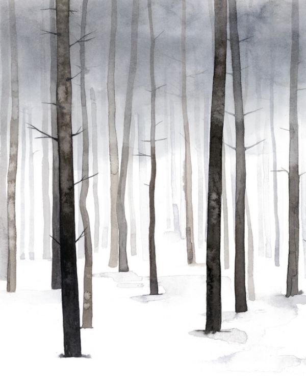 PHOTOWALL / Hazy Winter Walk (e324673)