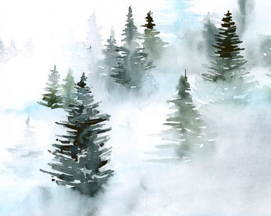 PHOTOWALL / Foggy Evergreens (e324675)