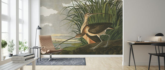PHOTOWALL / Long-billed Curlew (e324685)