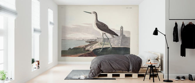 PHOTOWALL / Greenshank (e324695)