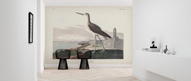 PHOTOWALL / Greenshank (e324695)