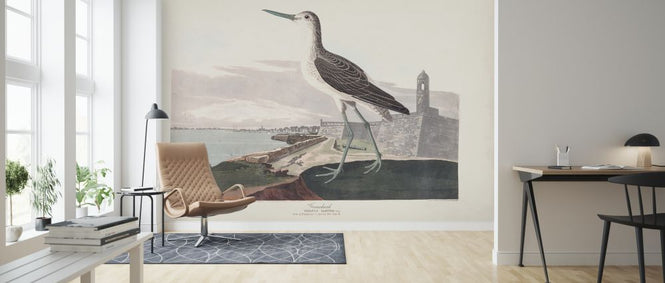 PHOTOWALL / Greenshank (e324695)