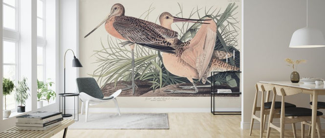 PHOTOWALL / Great Marbled Godwit (e324696)