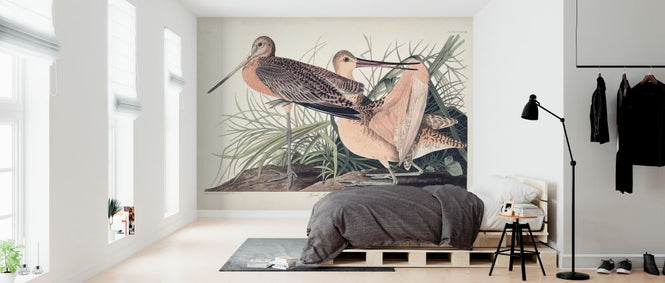 PHOTOWALL / Great Marbled Godwit (e324696)