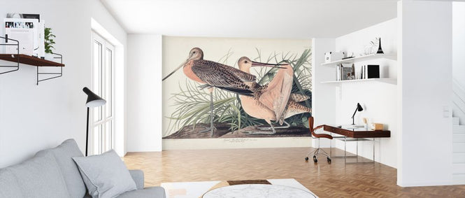 PHOTOWALL / Great Marbled Godwit (e324696)