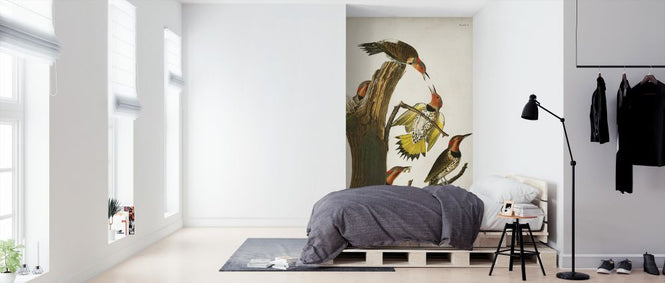 PHOTOWALL / Gold-winged Woodpecker (e324698)