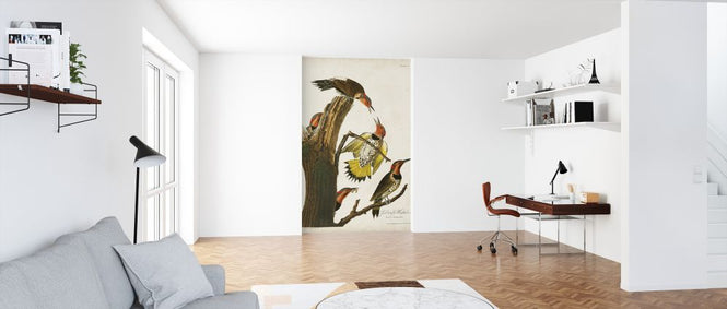 PHOTOWALL / Gold-winged Woodpecker (e324698)