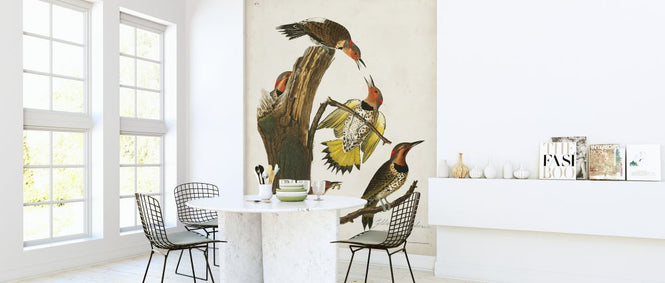 PHOTOWALL / Gold-winged Woodpecker (e324698)