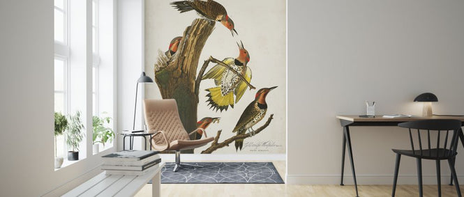 PHOTOWALL / Gold-winged Woodpecker (e324698)