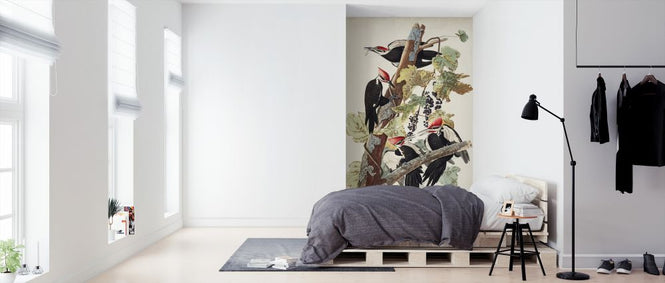 PHOTOWALL / Pileated Woodpecker (e324699)