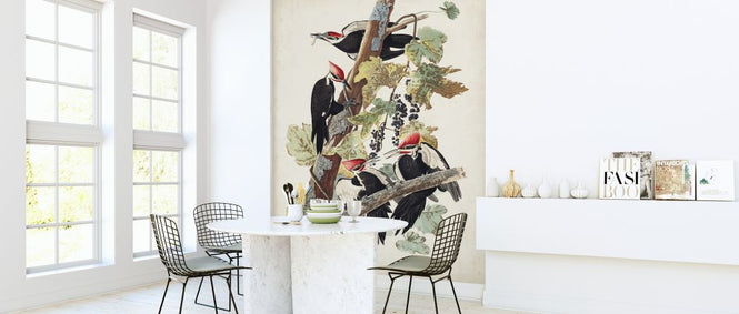 PHOTOWALL / Pileated Woodpecker (e324699)