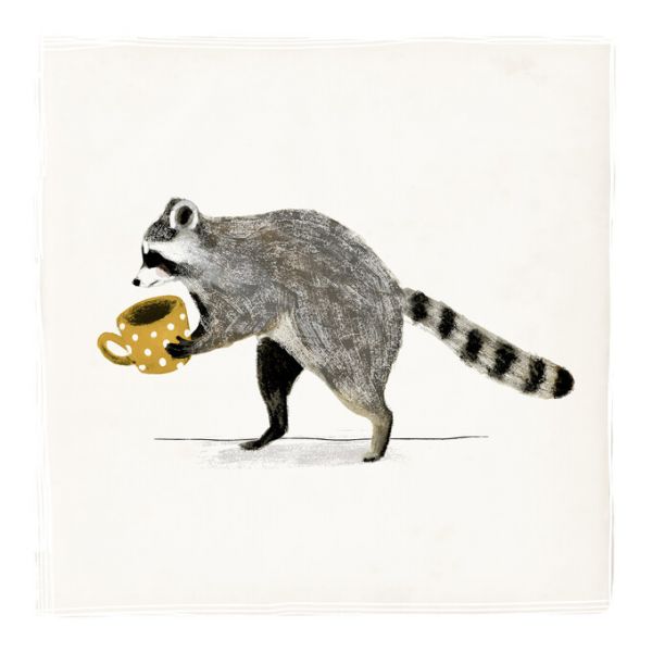 PHOTOWALL / Rascally Raccoon III (e324714)