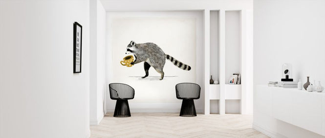 PHOTOWALL / Rascally Raccoon III (e324714)