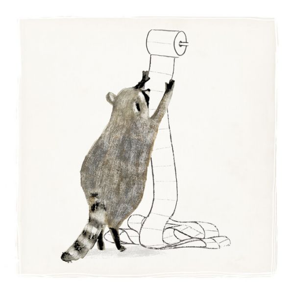 PHOTOWALL / Rascally Raccoon IV (e324715)
