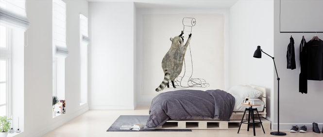 PHOTOWALL / Rascally Raccoon IV (e324715)