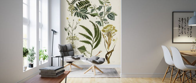 PHOTOWALL / Fanciful Ferns (e324720)