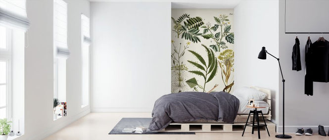 PHOTOWALL / Fanciful Ferns (e324720)