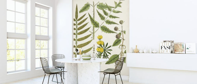 PHOTOWALL / Fanciful Ferns II (e324721)