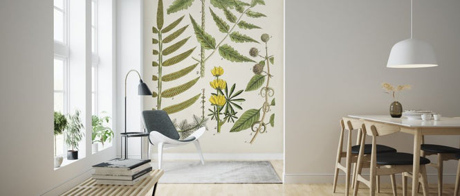 PHOTOWALL / Fanciful Ferns II (e324721)