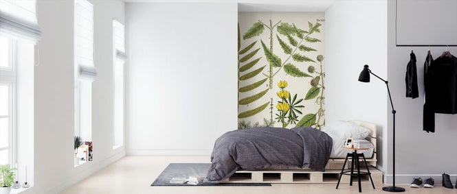 PHOTOWALL / Fanciful Ferns II (e324721)