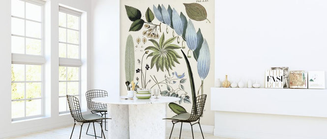 PHOTOWALL / Fanciful Ferns IX (e324728)