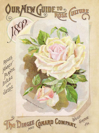 PHOTOWALL / Antique Seed Packets IV (e324739)