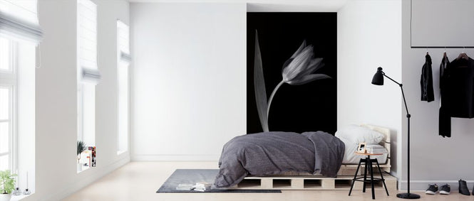 PHOTOWALL / Single Tulip (e326247)