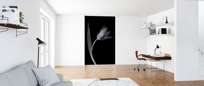 PHOTOWALL / Single Tulip (e326247)