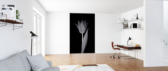 PHOTOWALL / Single Tulip (e326248)
