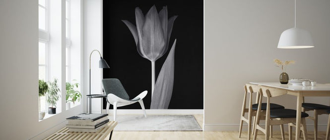PHOTOWALL / Single Tulip (e326248)