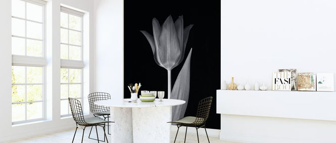 PHOTOWALL / Single Tulip (e326248)